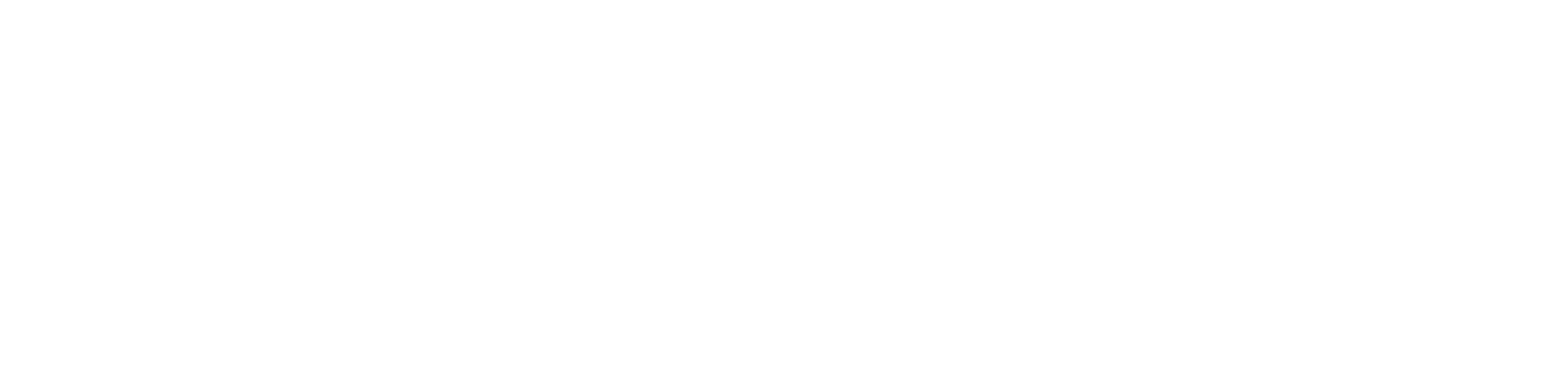funded by the EU -logo